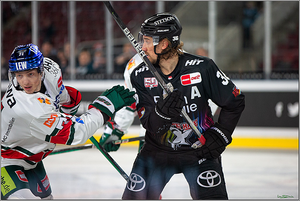 PENNY DEL; Koelner Haie- Augsburger Panther; Koeln, 08.01.2023